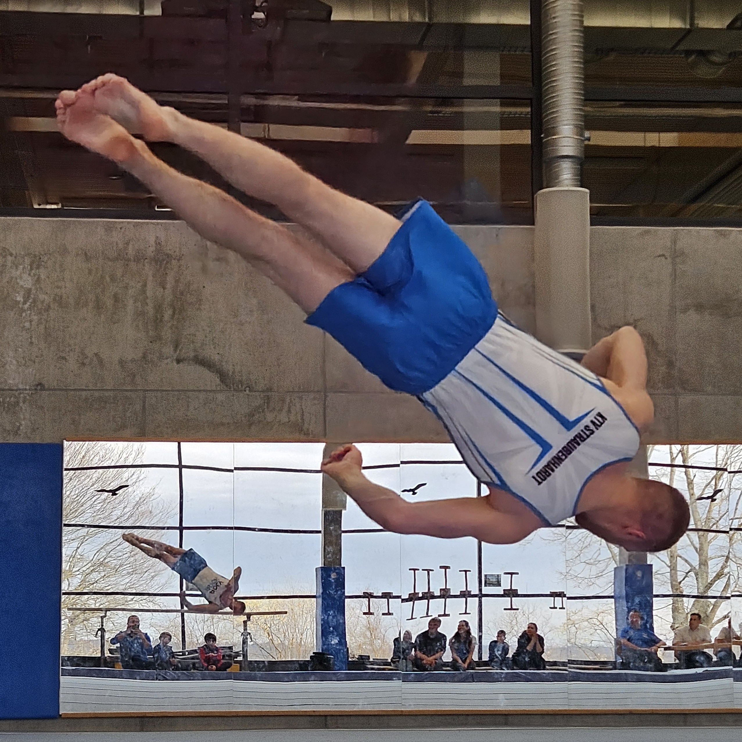 Straubi Maskottchen KTV Straubenhardt