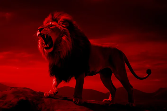 A lion represents the courage of convictions and the ability to make this known in an empathetic way