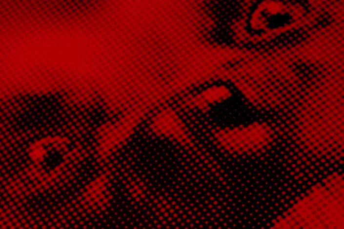 An actively guarding dog represents involved integration and enthusiastic interaction