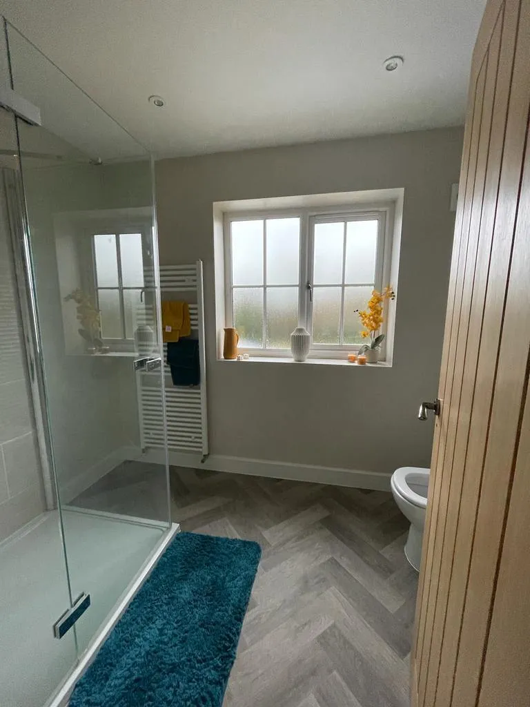 A bathroom with a toilet and a blue rug.