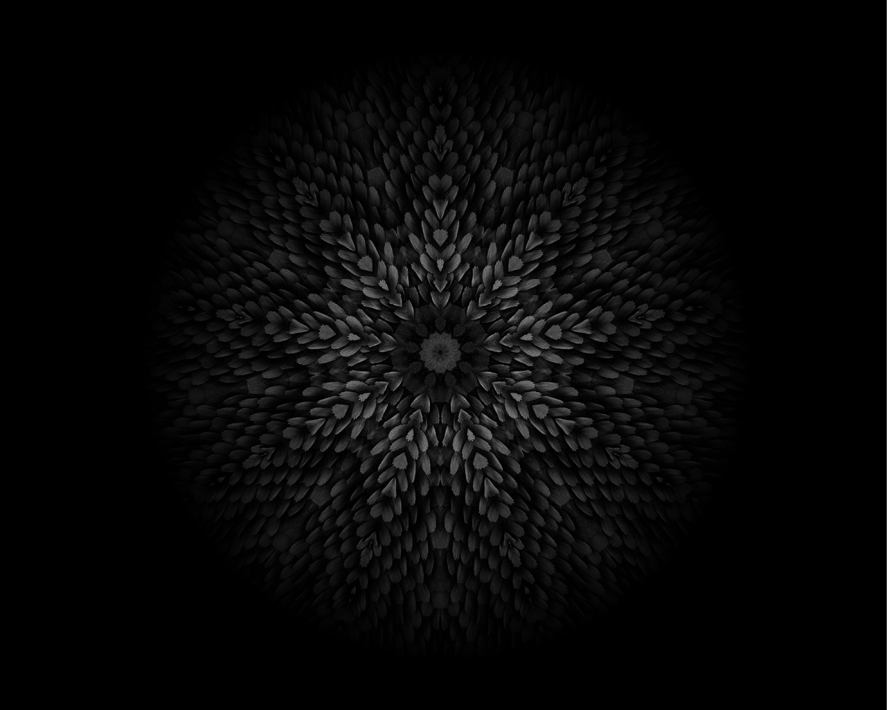 A tactile blend of botanical softness and architectural structure, grounding the brand in both nature and the city it calls home.