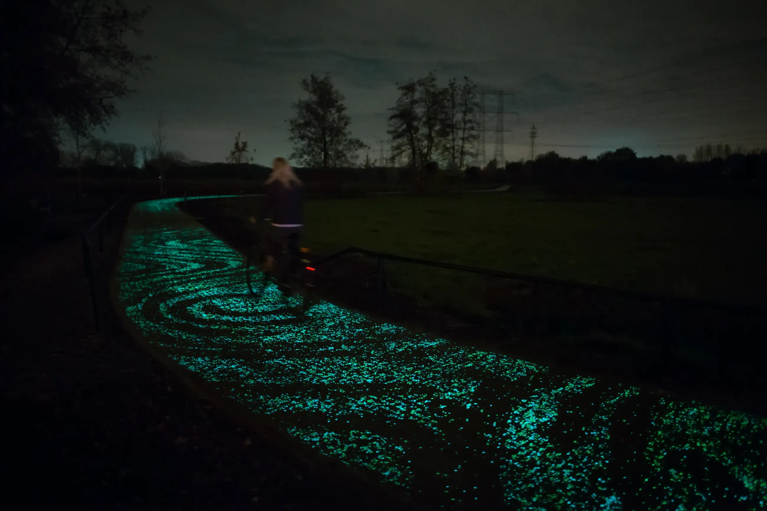 bioluminescent path