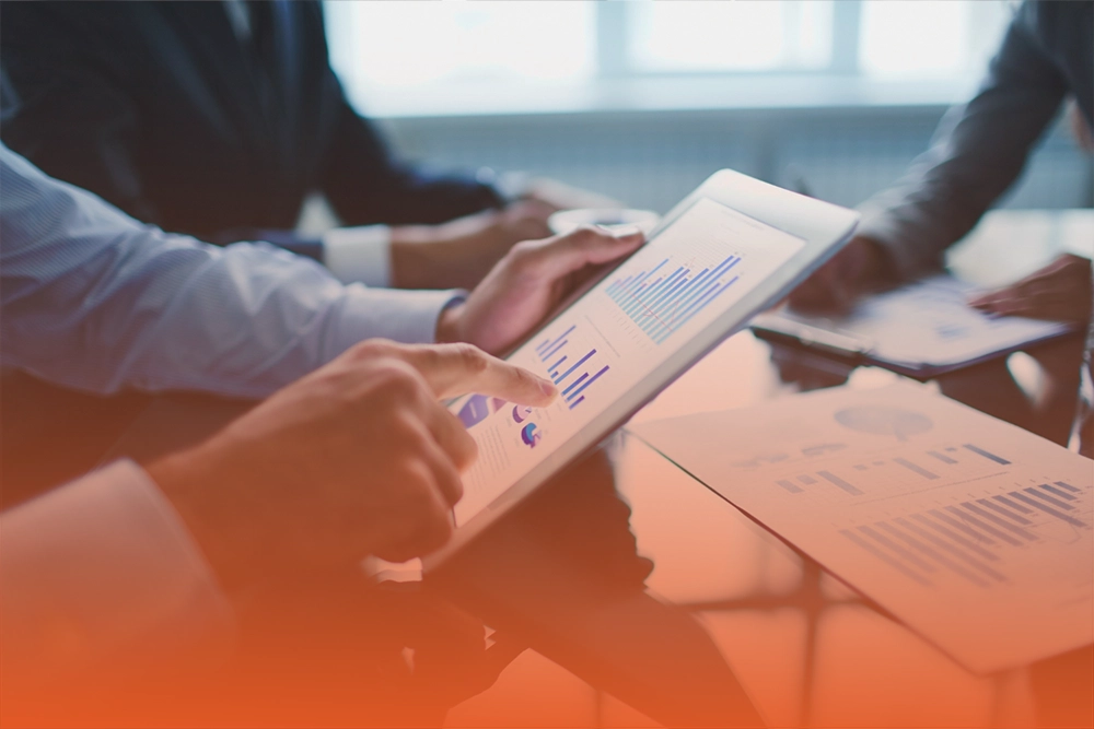 Salesforce User Adoption Reports