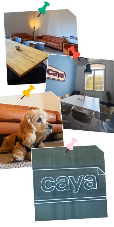 Bilder vom Caya Office