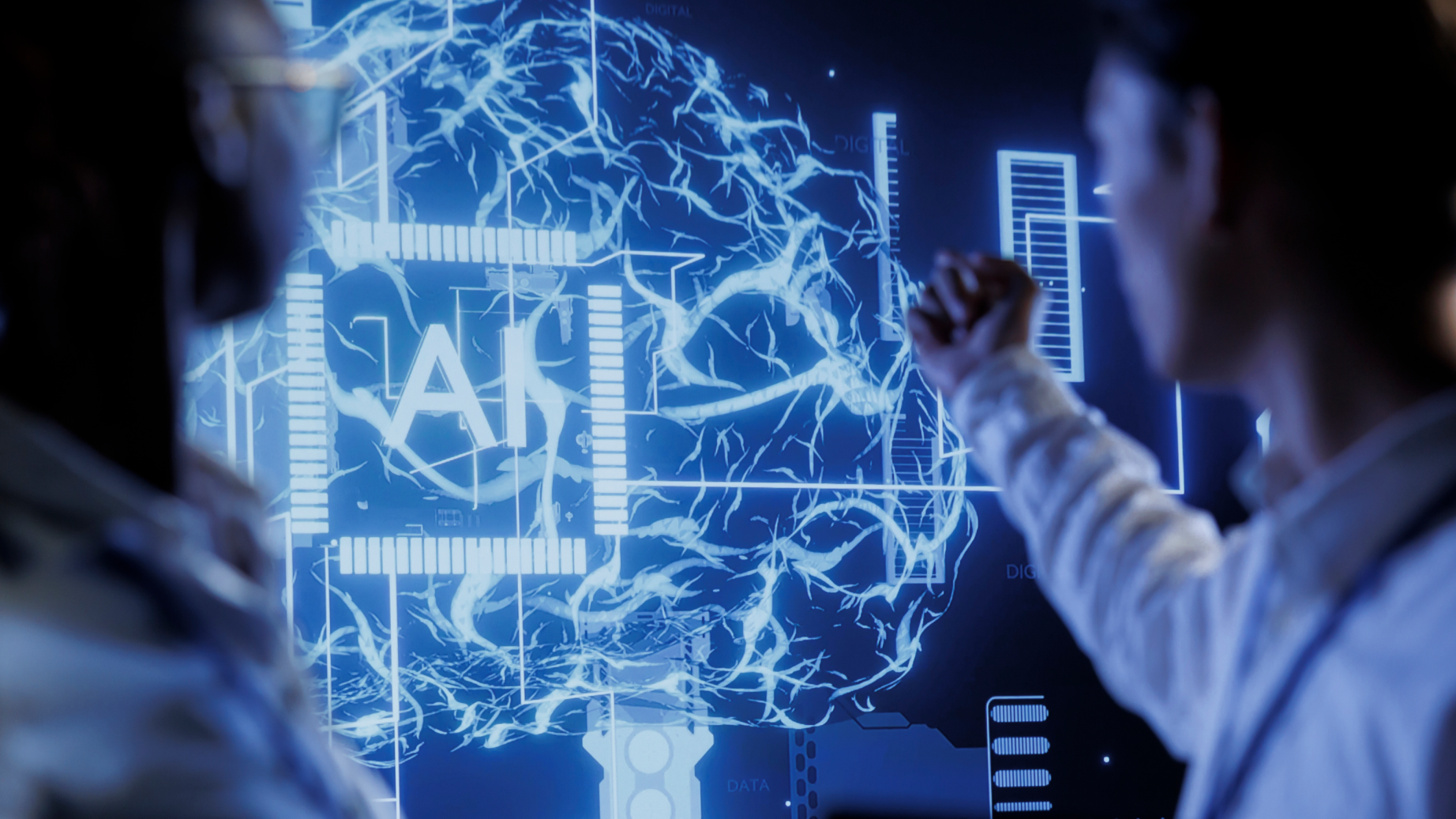 Credit to Anna Yashina