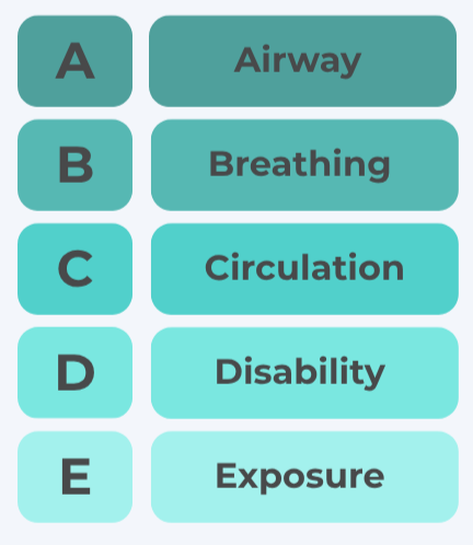 Darstellung des ABCDE-Schemas zur strukturierten Patientenbeurteilung in der Notfallmedizin. Die Buchstaben stehen für: A – Airway (Atemweg), B – Breathing (Atmung), C – Circulation (Kreislauf), D – Disability (neurologischer Status), E – Exposure (Entkleiden/Untersuchung auf Verletzungen).