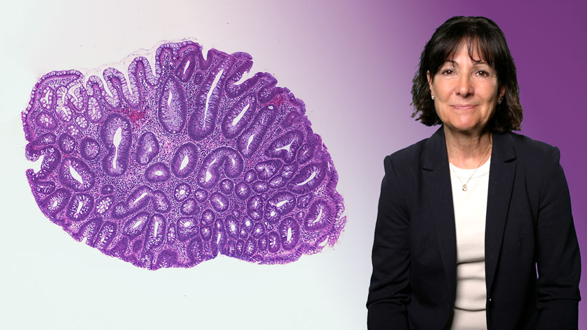 Der falsche Traum vom gesunden Rauchen