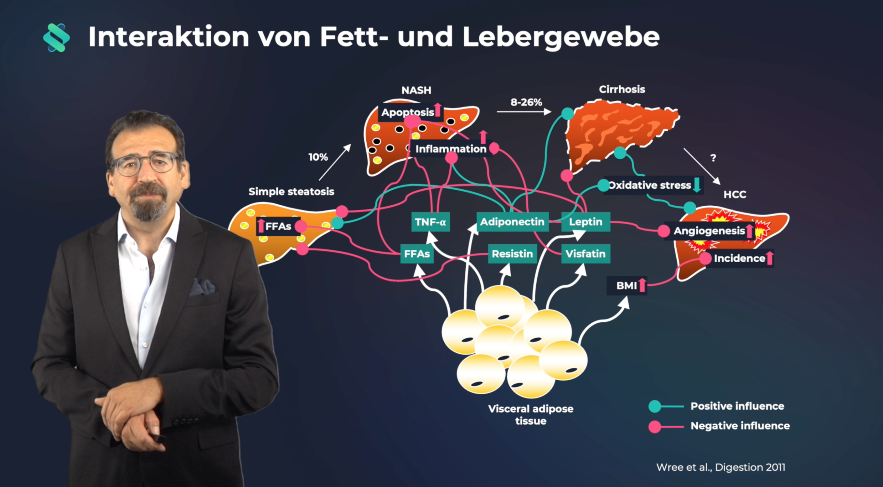 Die Fettleber: Wann wird sie gefährlich?