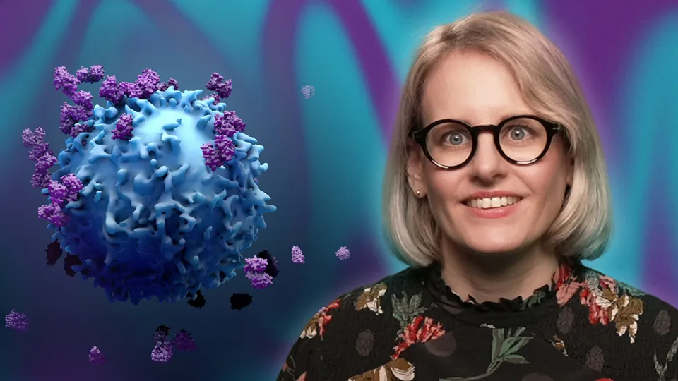 CLL - Update nach dem ASH 2025