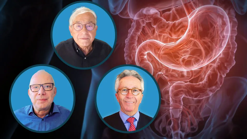 Hämoglobinopathien: Eisenüberladung bei transfusionsabhängiger Thalassämie: Mechanismus, Diagnose und Therapie