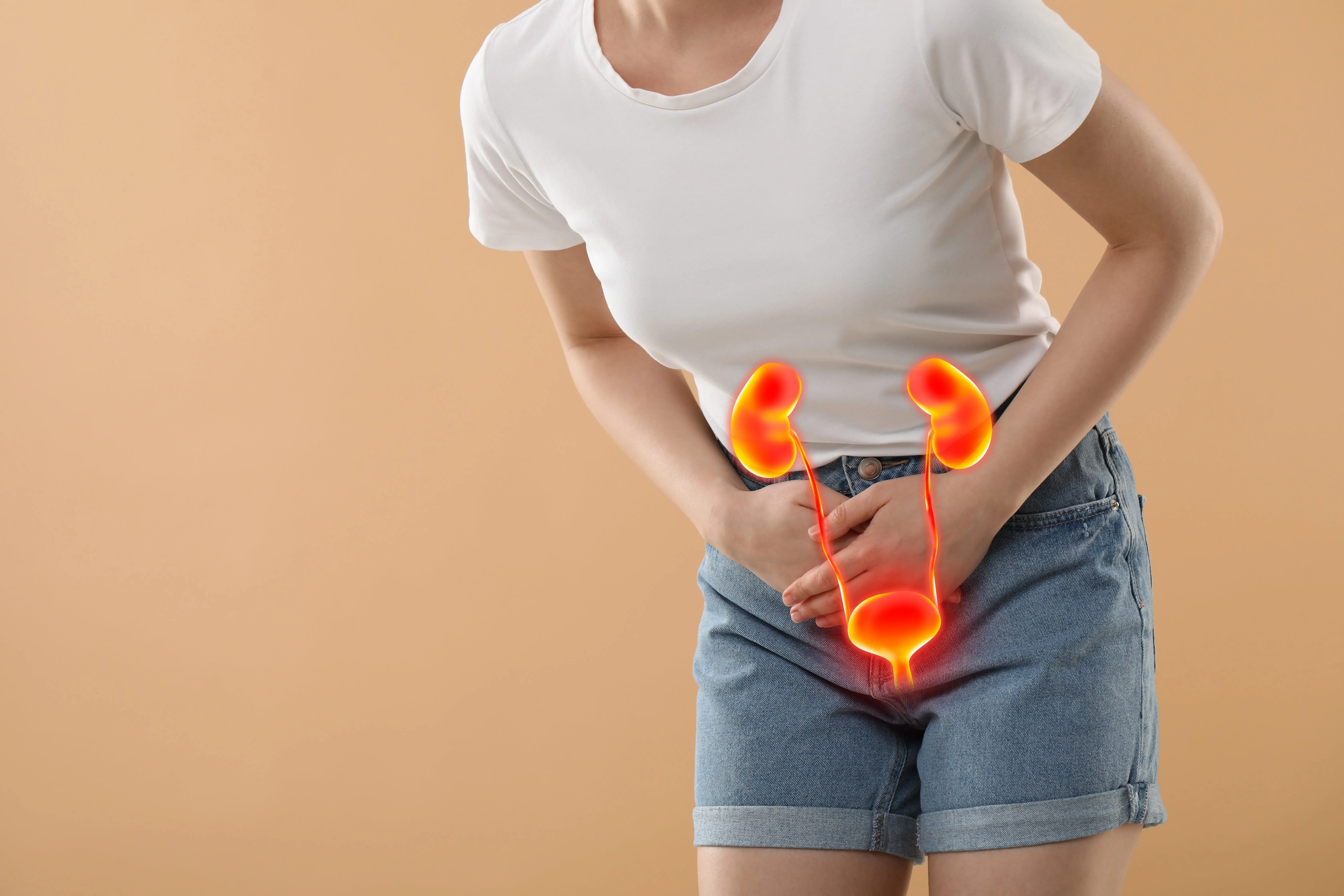 Neues zur Prophylaxe rezidivierender Harnwegsinfekte