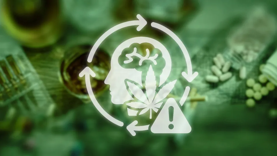 Suchtmedizin - Basics für die Praxis: Cannabisbezogene Störungen