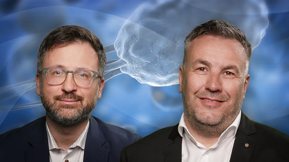 Klinische Aspekte von Helicobacter Pylori und Magenkarzinomen