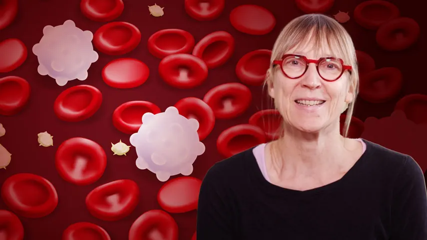 Thumbnail für kurs Défis liés à la prise en charge des adultes atteints de drépanocytose et de bêta-thalassémie