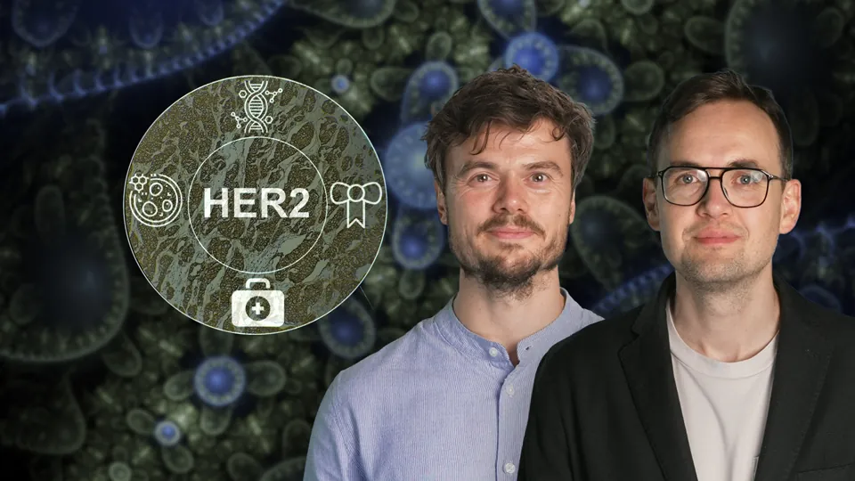 HER2 über Tumorgrenzen hinweg: Diagnostik trifft Therapie
