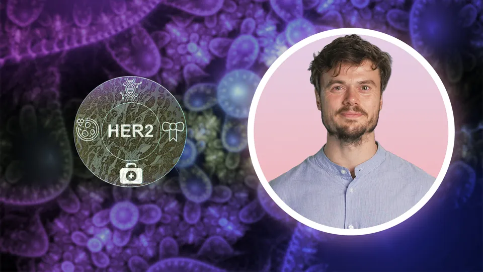 HER2 als Rezeptor – Biologie und Signaltransduktion