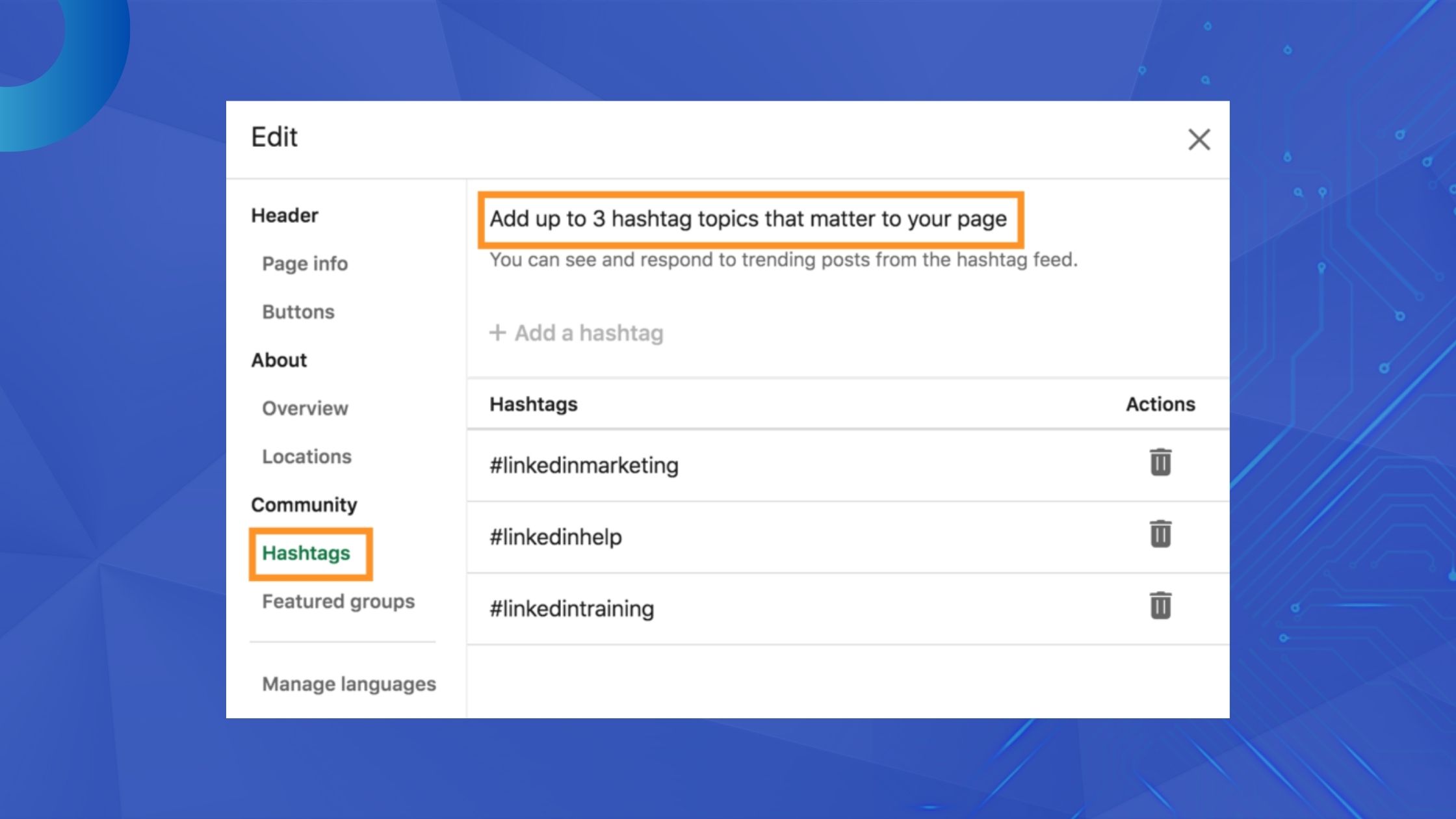 Hashtags and SEO Optimization on Company Pages