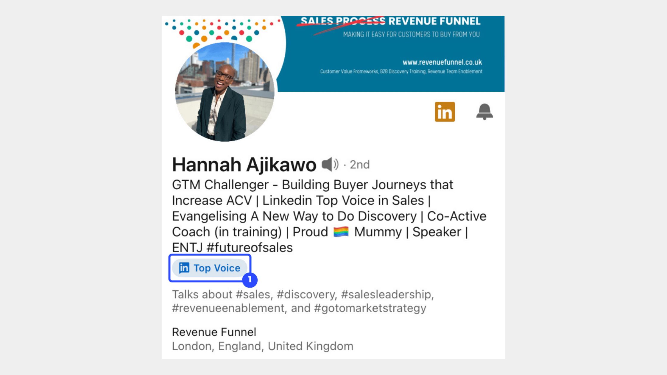 Professional Content Voice