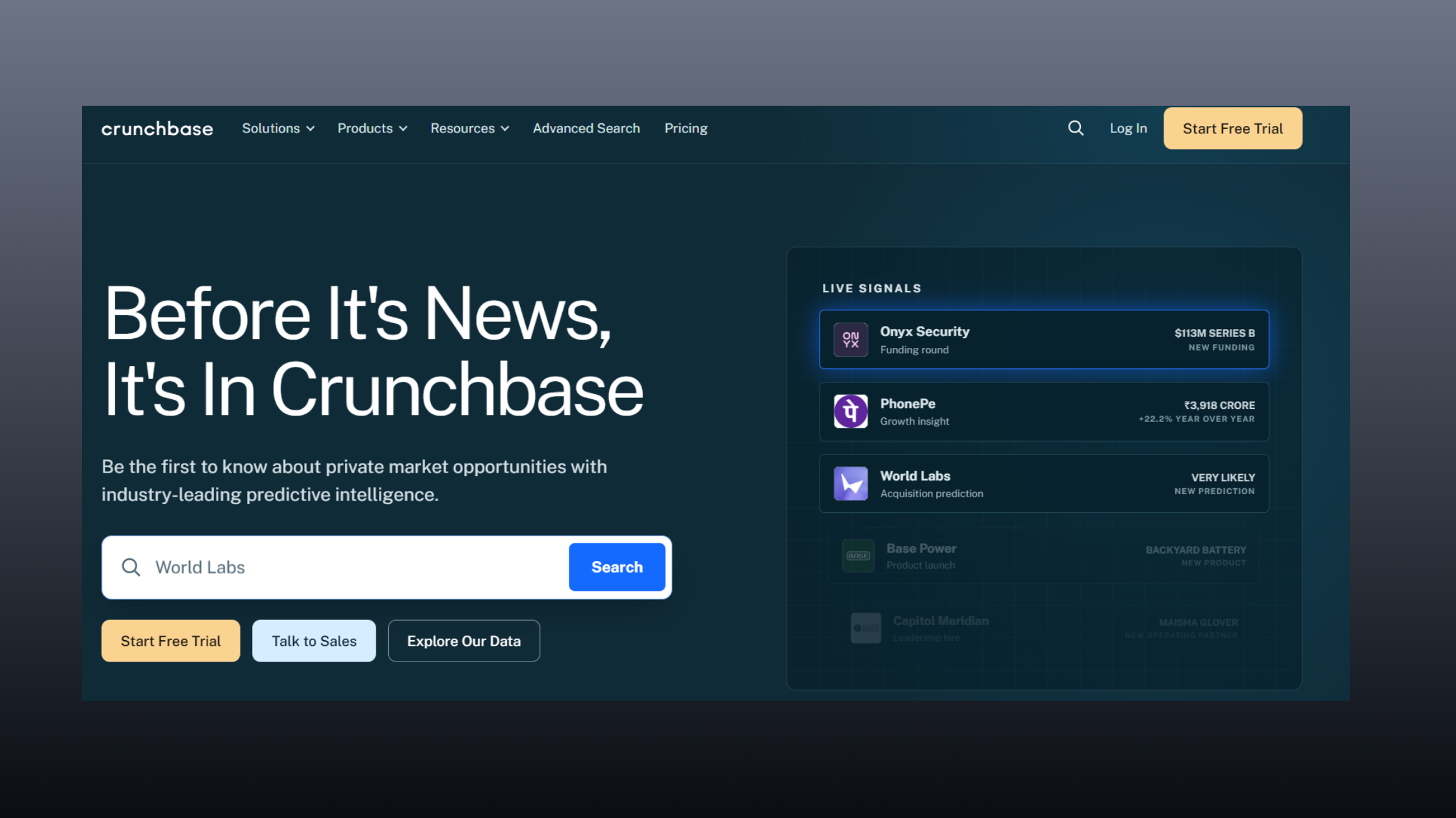 What Is Crunchbase and What Does It Actually Do?
