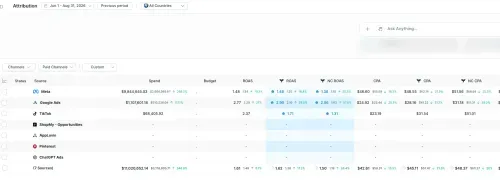 Triple Whale new customer CPA