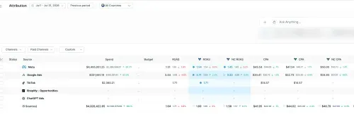 Triple Whale July by source