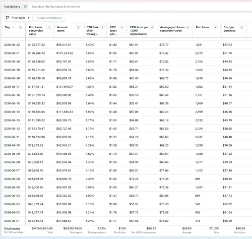 Meta Ads Manager daily report, June