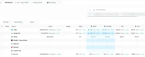 Triple Whale paid sources