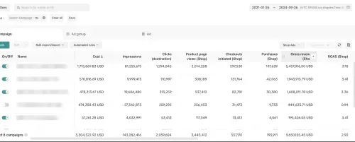 TikTok Shop campaign report