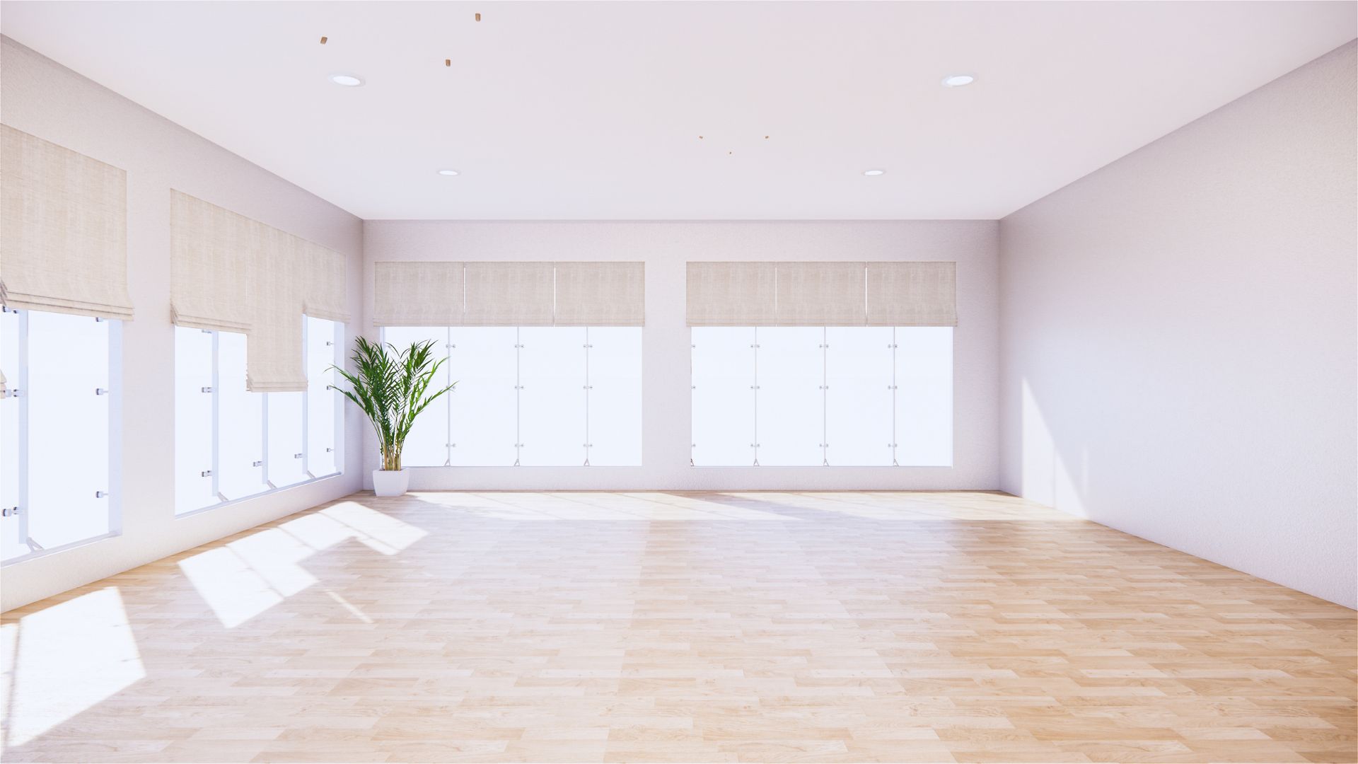 Empty bright room with wooden floor and green plant by windows