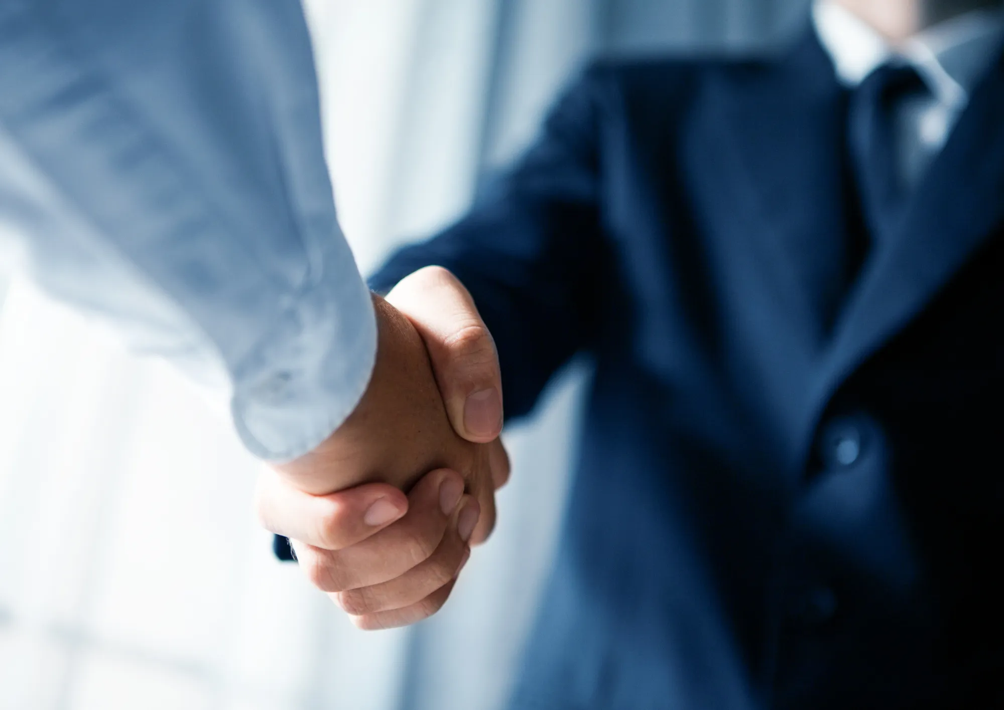 Business handshake between two professionals.