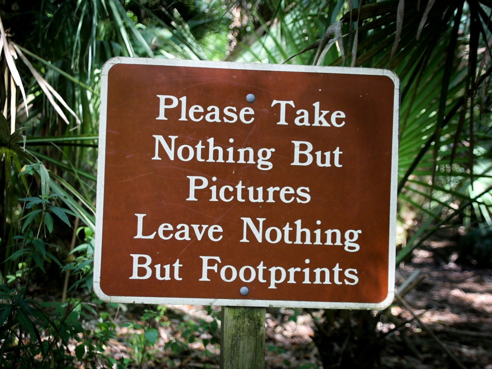take nothing but pictures leave nothing but footprints