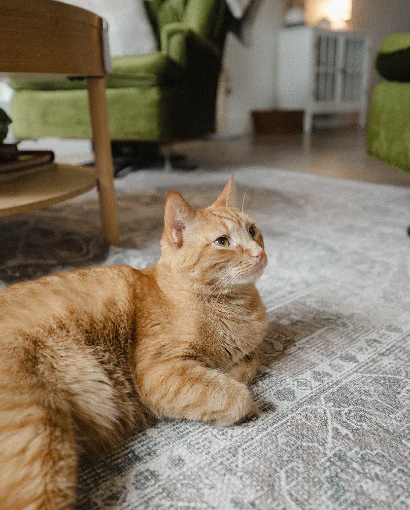 Smiling man with short curly hair and beard wearing a white jacket against a dark background.