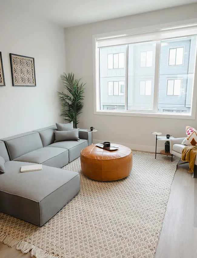 Modern living room with gray sectional sofa, round brown leather ottoman, patterned beige rug, potted plant, and large window.