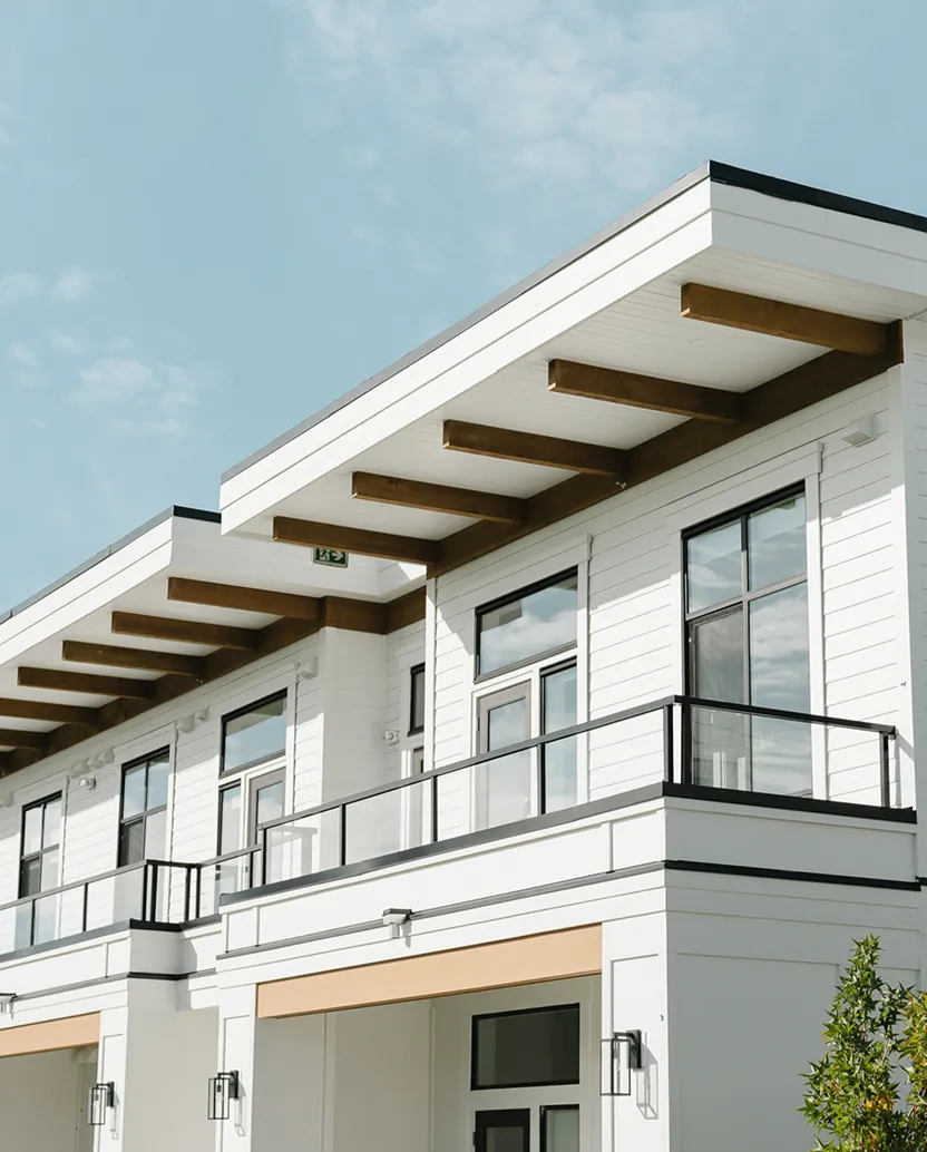 Green grassy field bordered by dense trees and a large tree trunk in the foreground.