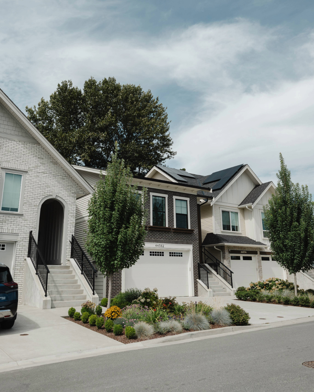 Green grassy field bordered by dense trees and a large tree trunk in the foreground.
