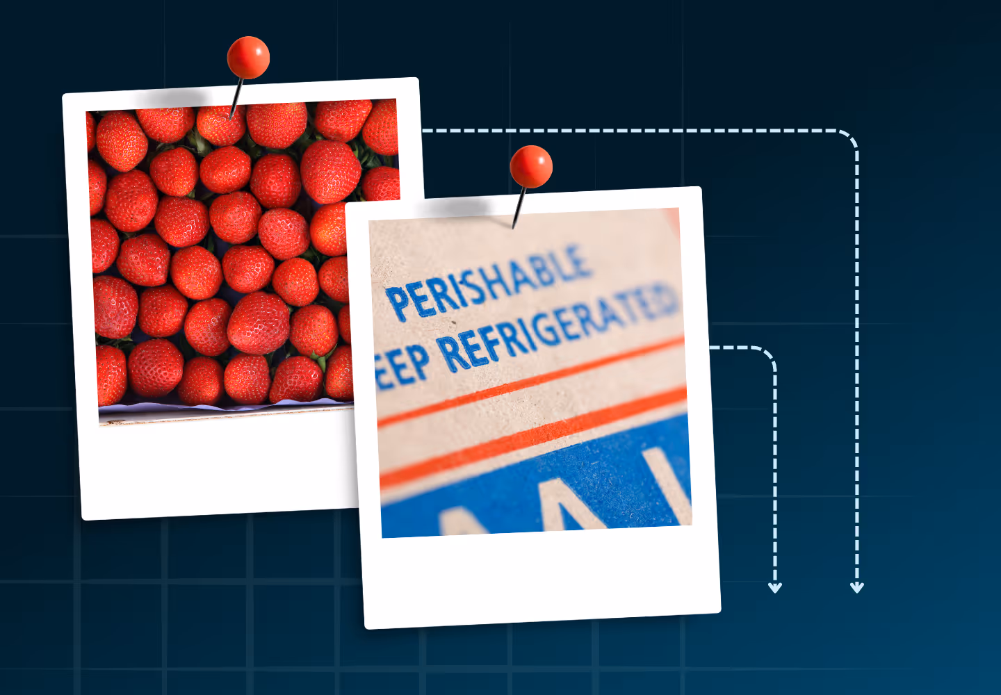 Two pinned polaroid photos on a dark grid background showing strawberries