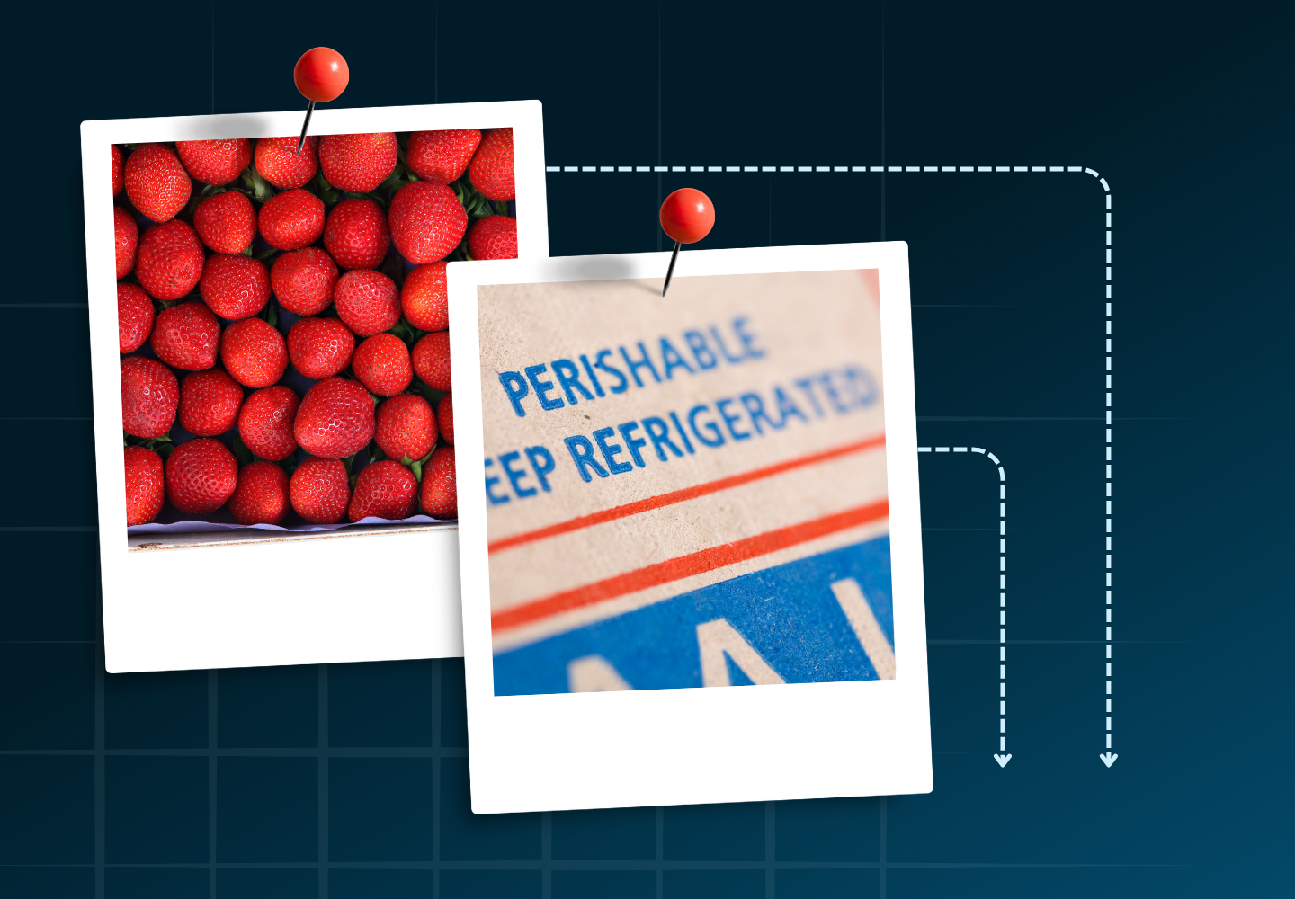 Two pinned polaroid photos on a dark grid background showing strawberries