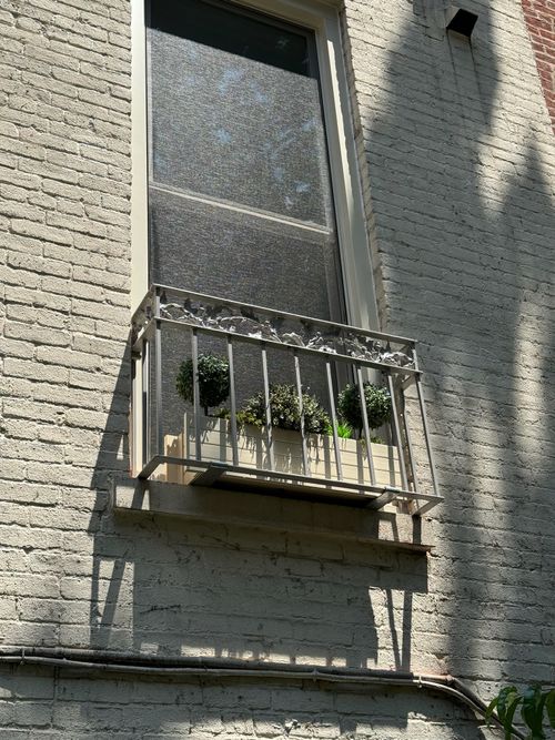 Juliet balcony adorned with intricate floral or vine-like patterns