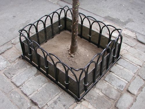 Metal tree guard with evenly spaced arched bars and tinted margard.
