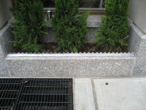 Serrated Loafer rail