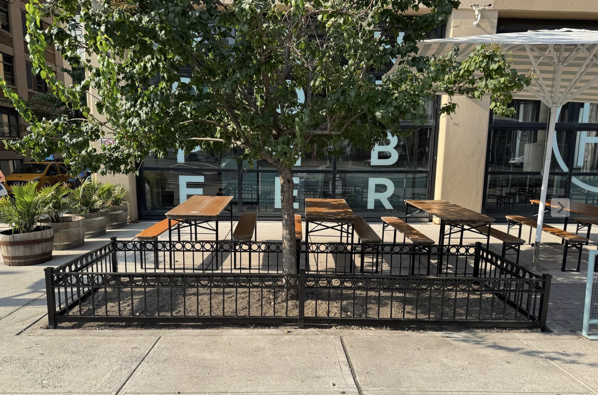 TG043 4 sided tree guard with heavy-gauge tubular corner posts with distinctive pyramid caps, a molded top rail with circular cutouts