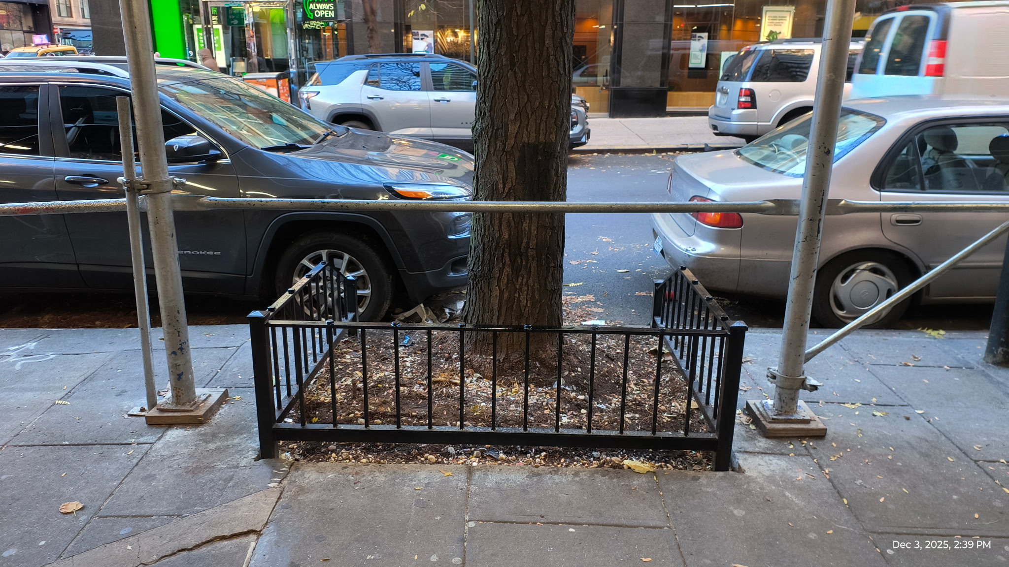 TG044 NYC Parks Recommended Style K inspired tree guard with anti-loafing studs