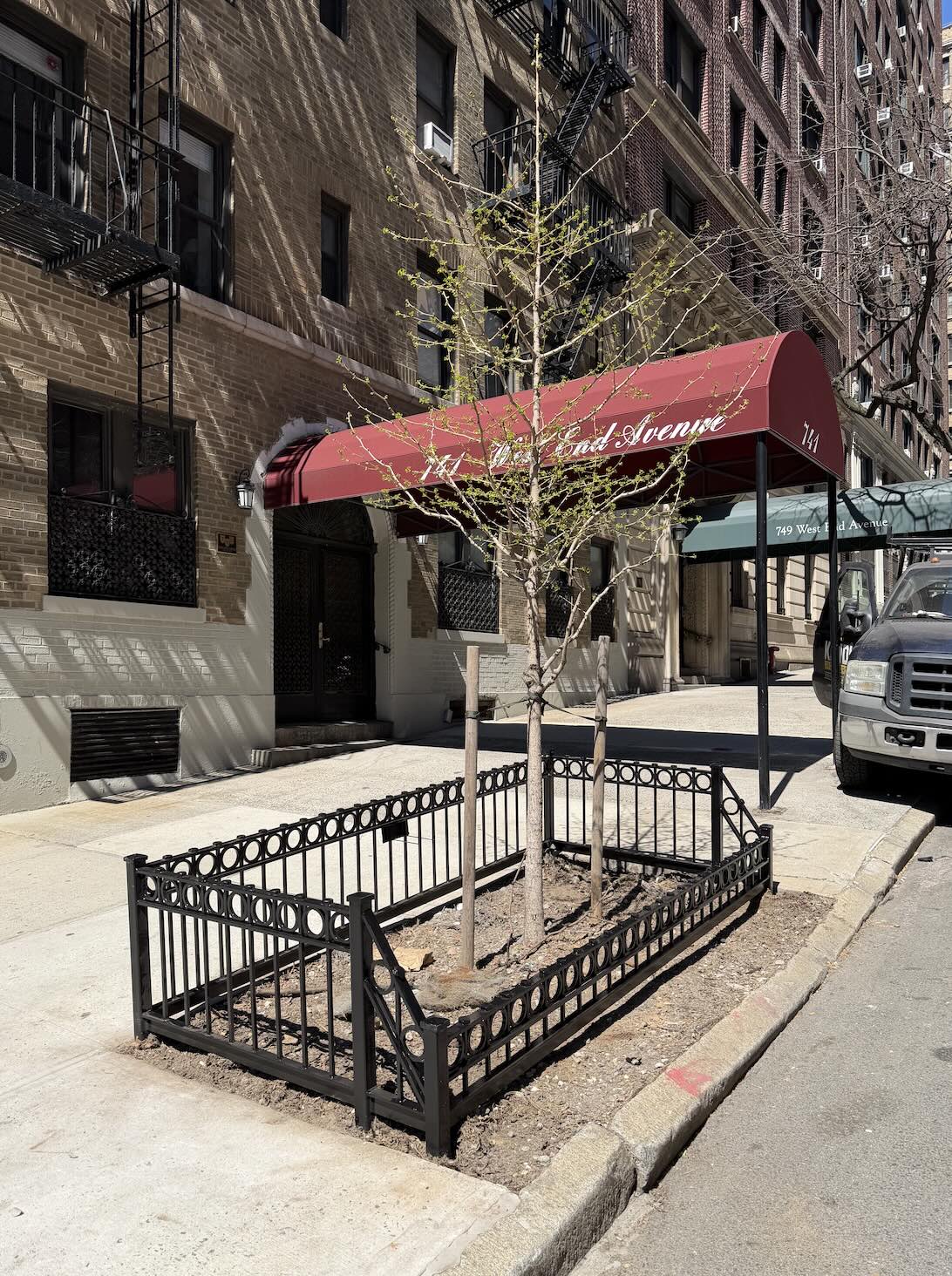 TG048 Modified NYC Parks Recommended Style B, four-sided tree guard with a low curbside panel and an anti-loafing top rail featuring welded hex bolt heads.