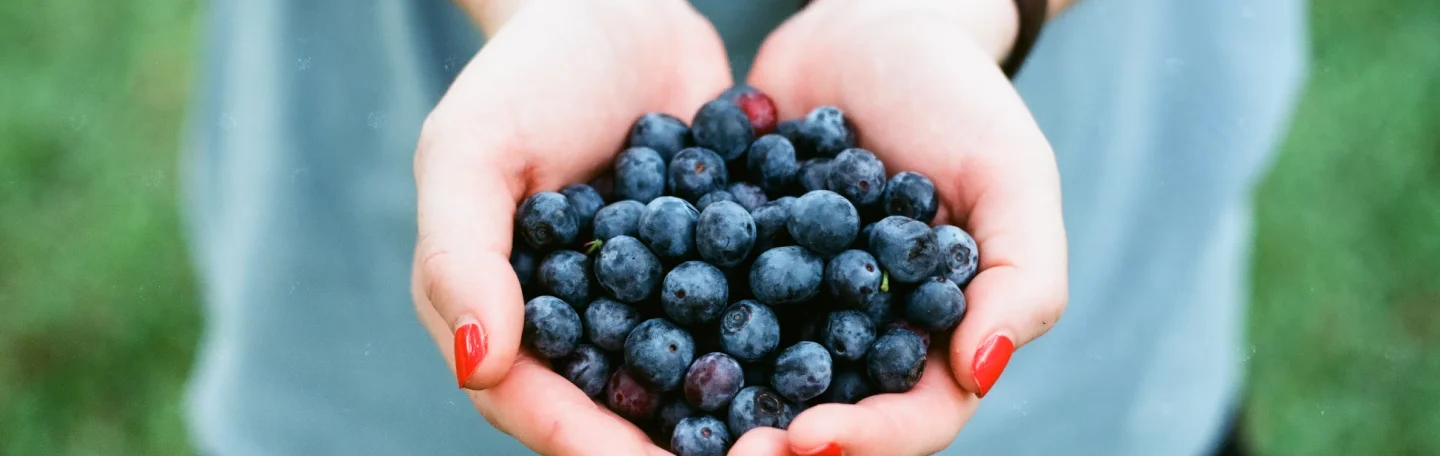Cupped hands holding fresh blueberries, from the BIOHM gut health case study.