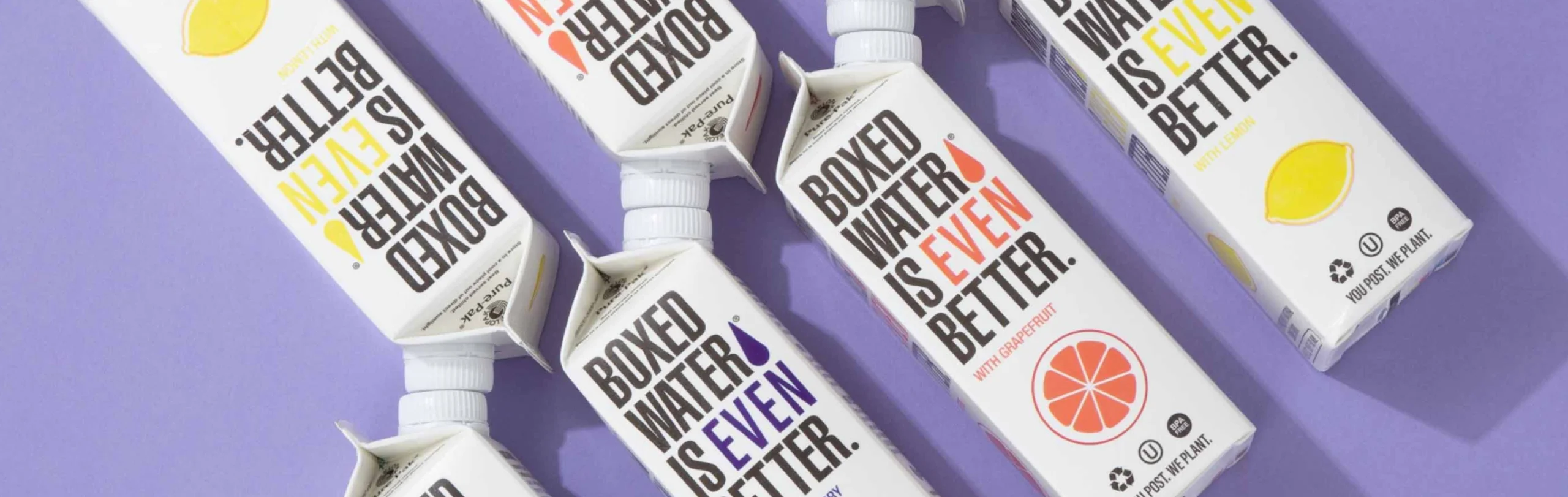Boxed Water cartons in lemon, grapefruit, and berry flavors arranged on a purple background.