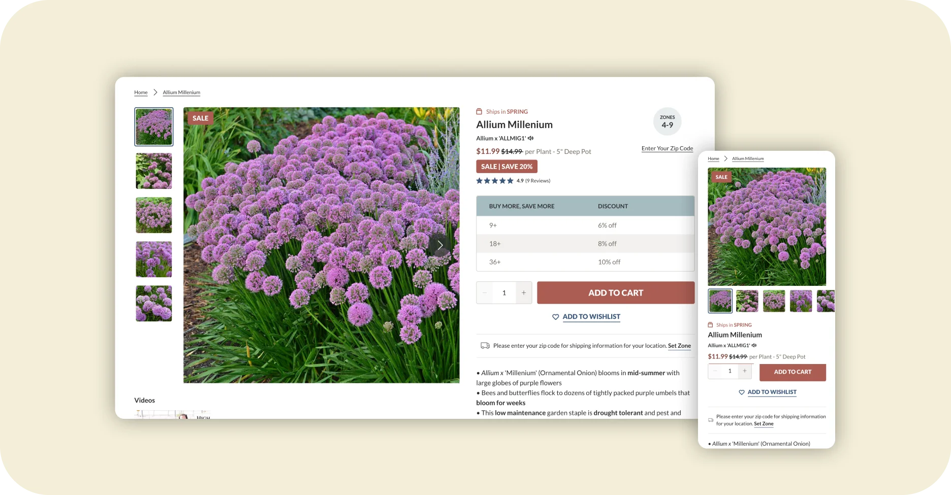 High Country Gardens product detail page for Allium Millenium perennial on desktop and mobile.