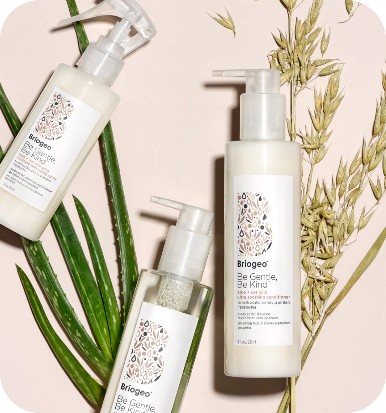 Briogeo product photo of Be Gentle, Be Kind hair care bottles with aloe leaves and oat stems.