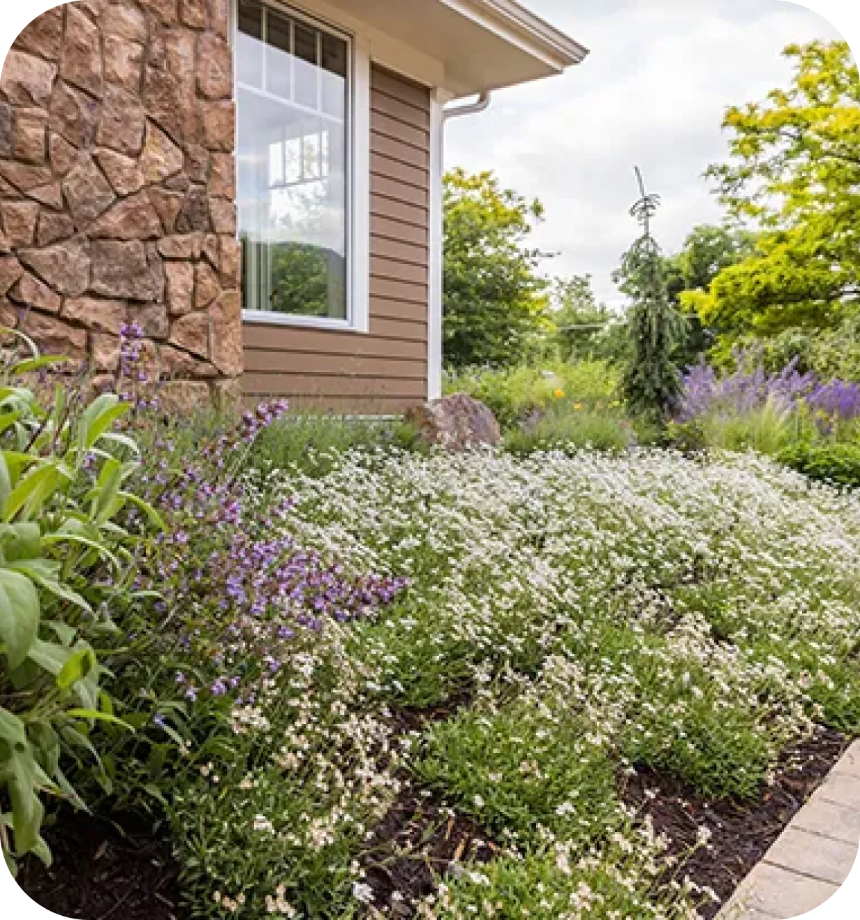 High Country Gardens lifestyle photo of a flowering perennial garden bed beside a home.