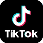 Tiktok Social Media Icon | Incharge Integration