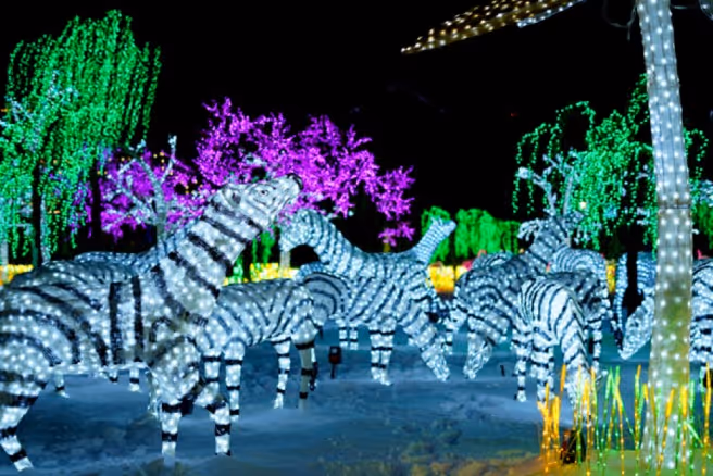 Noël au Parc la féérie des lumières
